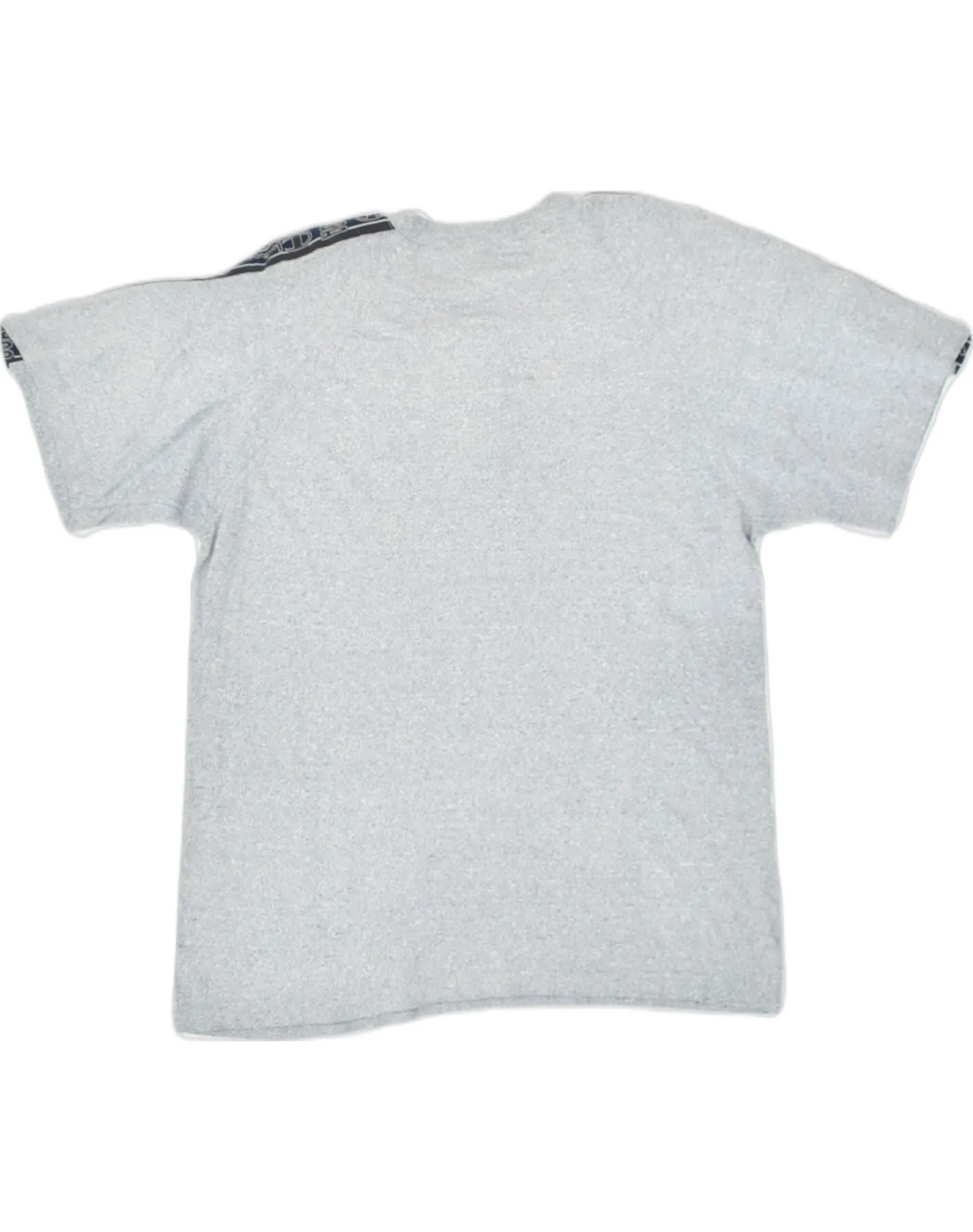CHAMPION Mens T-Shirt Top Large Grey Cotton