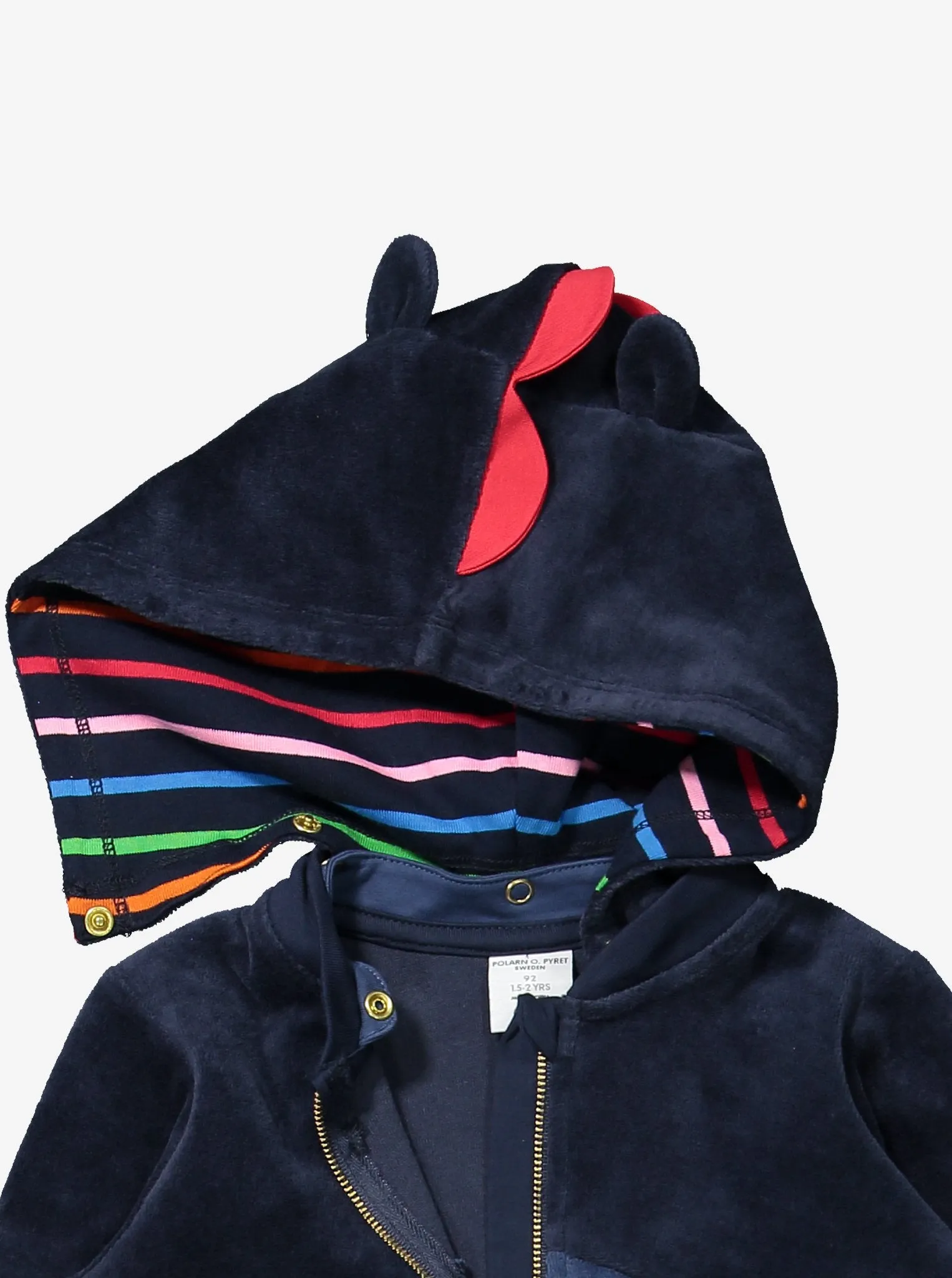 Dinosaur All-in-One