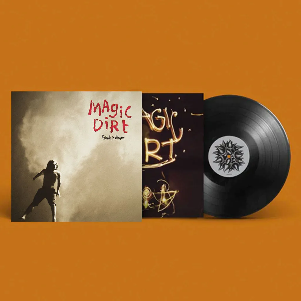 Friends In Danger LP (Black)