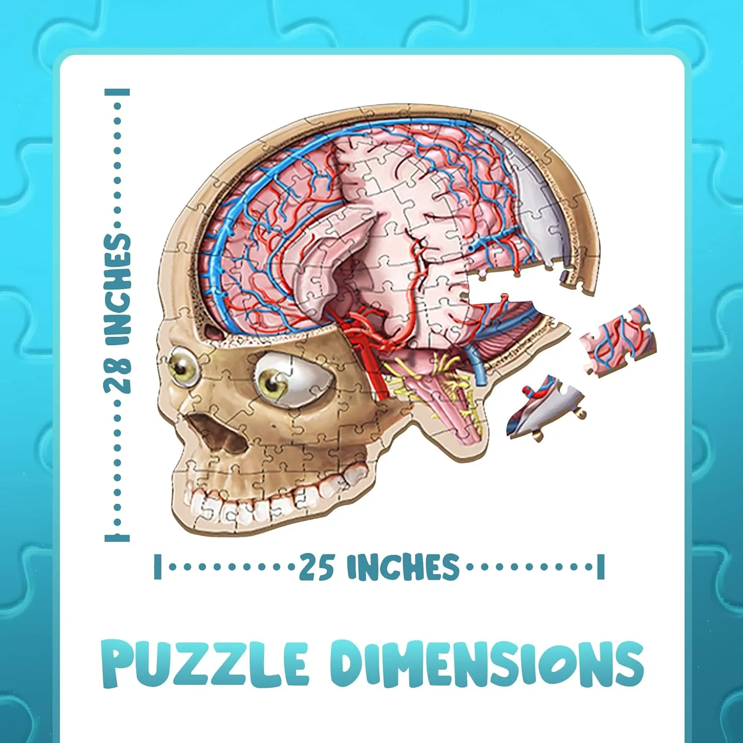 Human Brain Floor Kids Puzzle - Dr. Livingston's Unique Shaped 100 Piece Science Puzzles for Kids