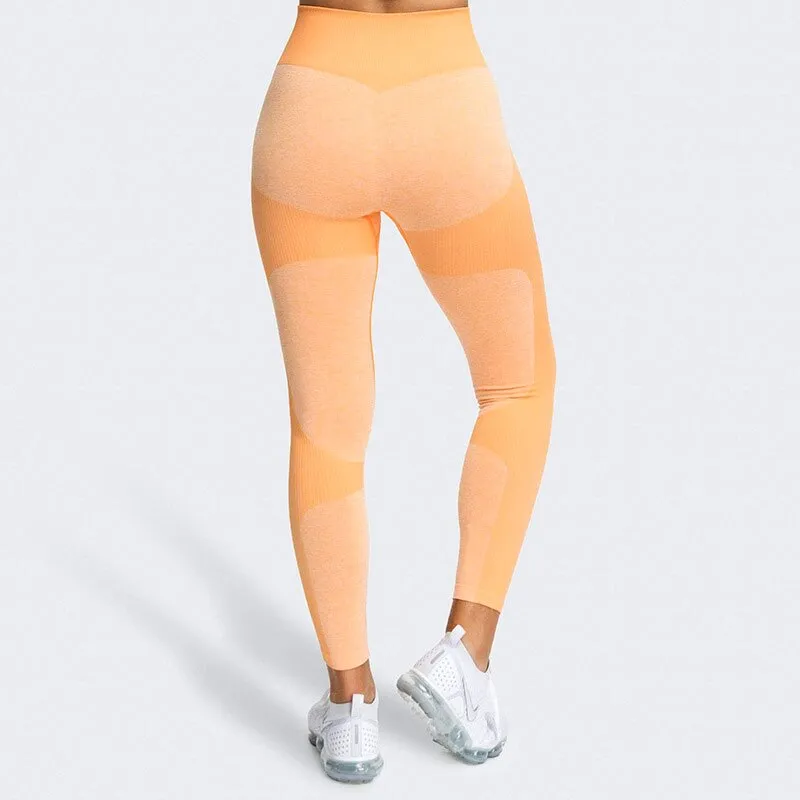 KittenAlarm - Mojoyce Seamless Push Up Leggings Women Gym Clothing Fitness Yoga Pants Workout High Waist Tights Sportswear Running Training Pant
