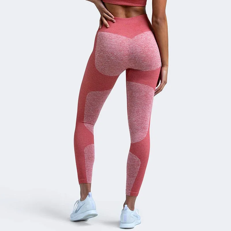 KittenAlarm - Mojoyce Seamless Push Up Leggings Women Gym Clothing Fitness Yoga Pants Workout High Waist Tights Sportswear Running Training Pant