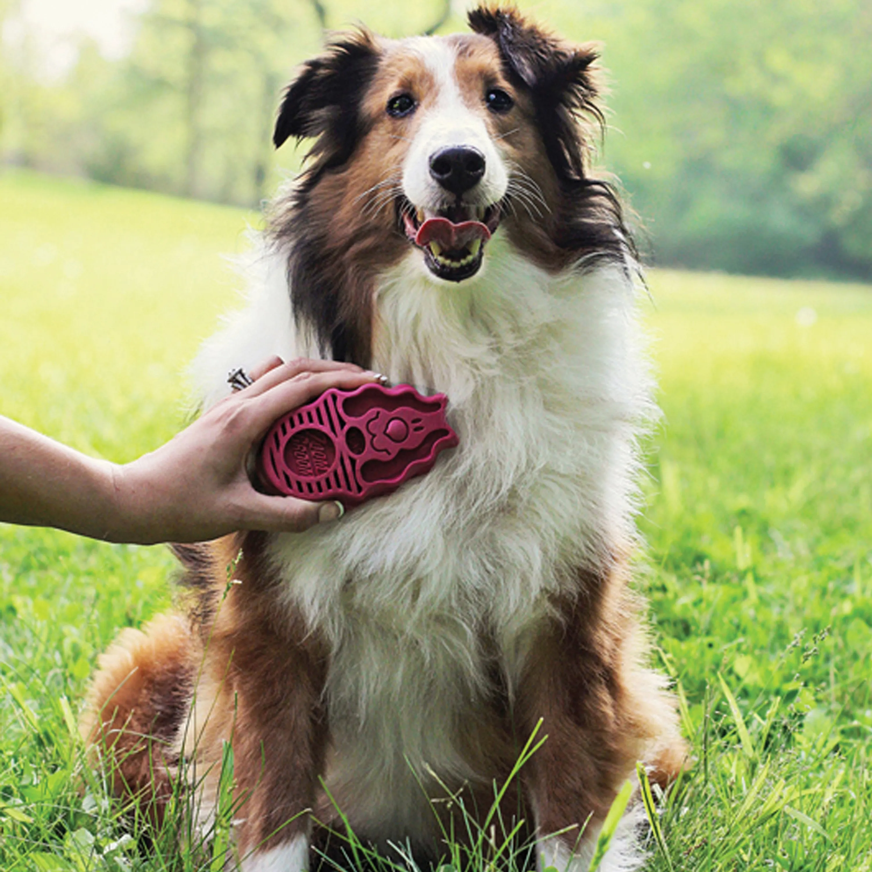 KONG ZoomGroom™ Raspberry Dog Grooming Brush