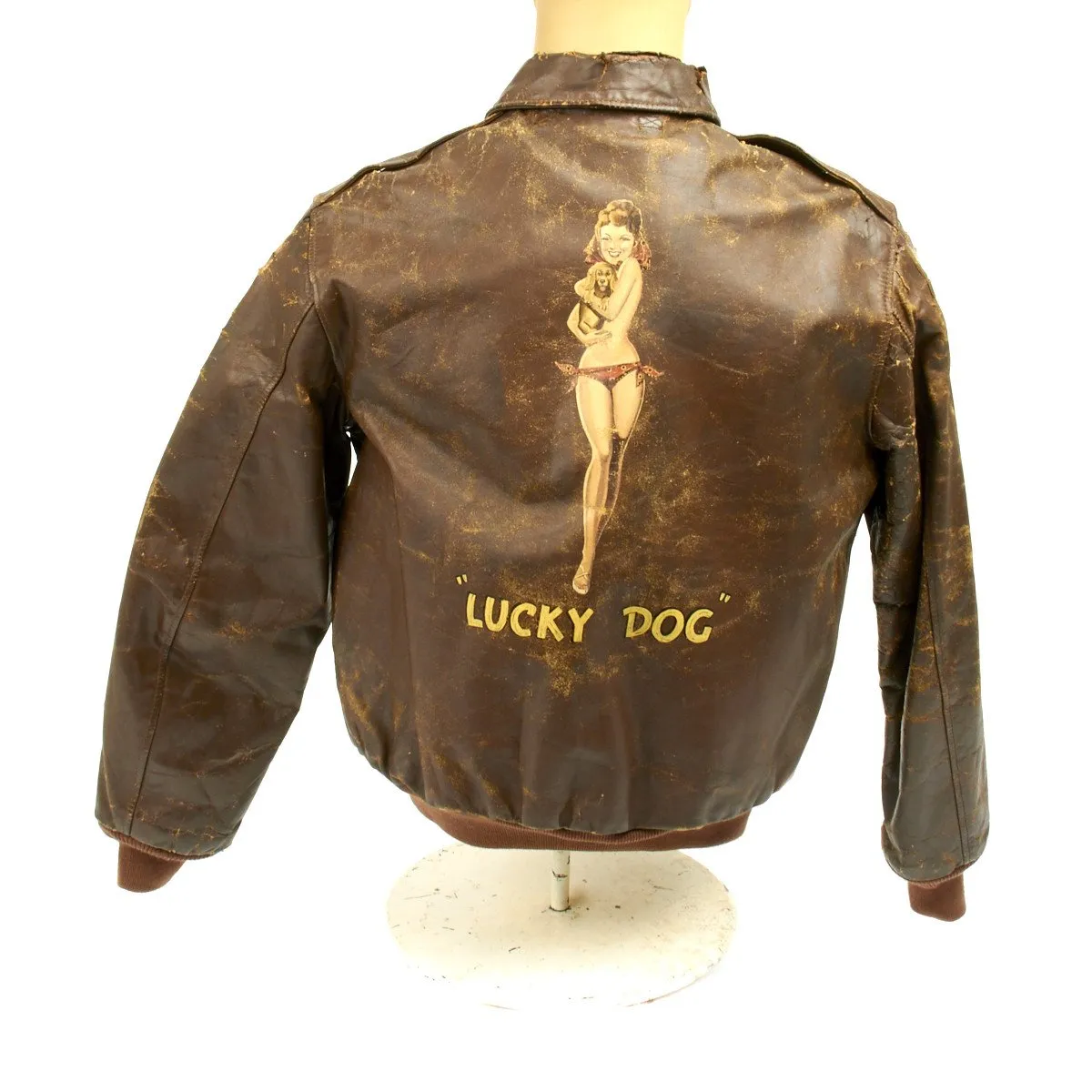 Original U.S. WWII B-24 Liberator 11th BG Lucky Dog Named A-2 Flight Jacket