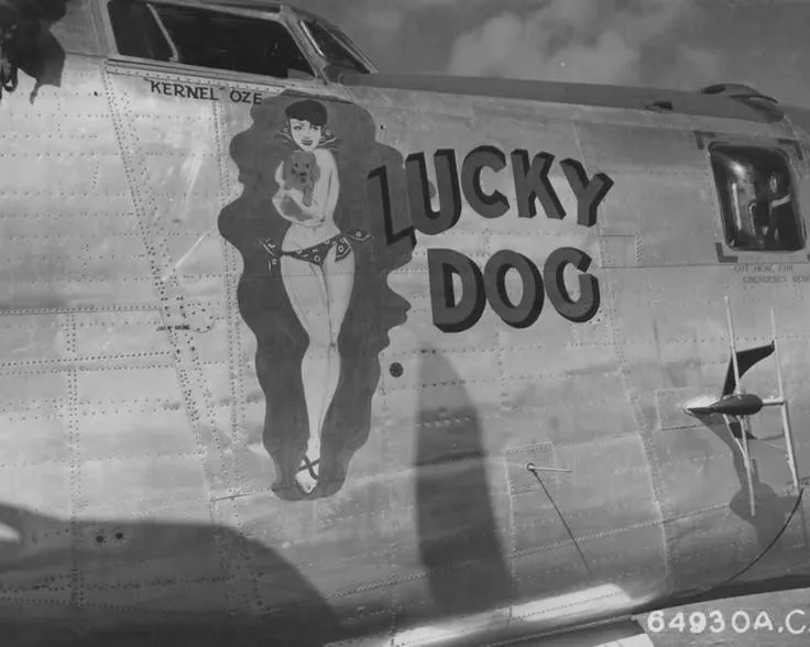 Original U.S. WWII B-24 Liberator 11th BG Lucky Dog Named A-2 Flight Jacket