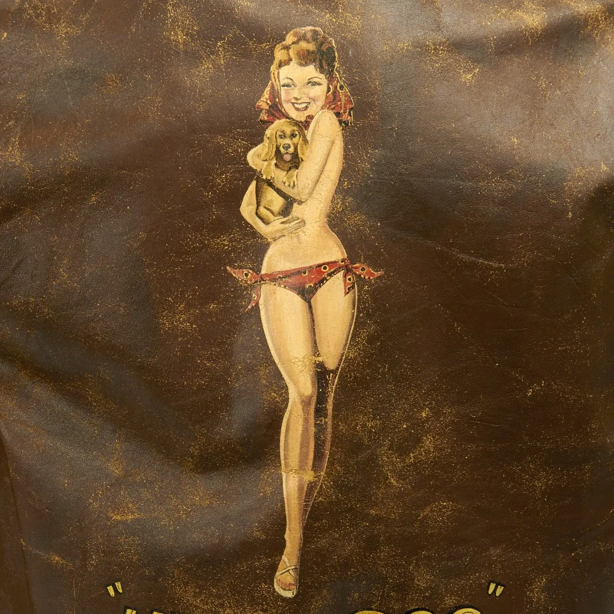 Original U.S. WWII B-24 Liberator 11th BG Lucky Dog Named A-2 Flight Jacket
