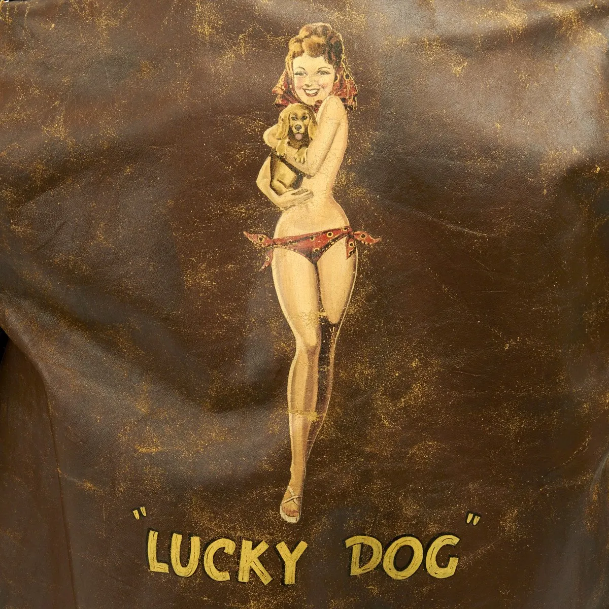 Original U.S. WWII B-24 Liberator 11th BG Lucky Dog Named A-2 Flight Jacket