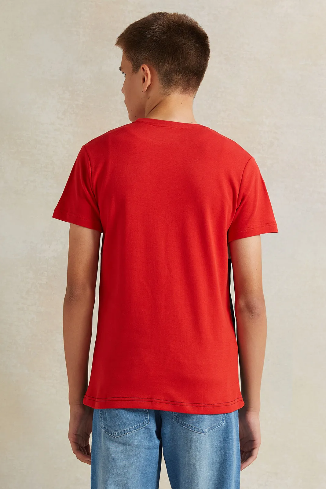 Senior Boys Multicolour T-Shirt